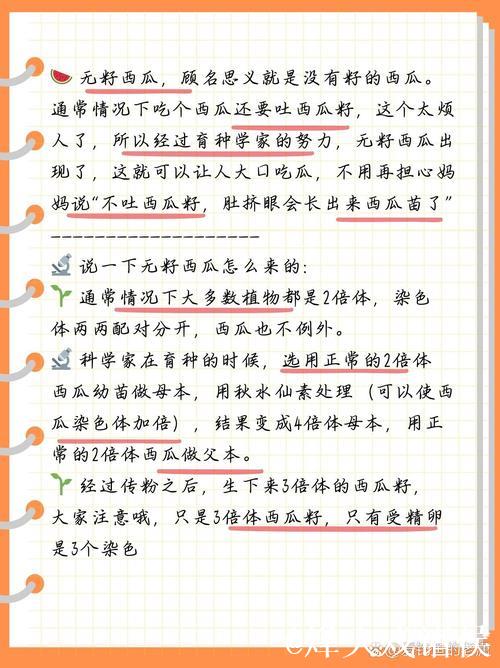 全面探索51吃瓜：深入了解其内在奥秘
