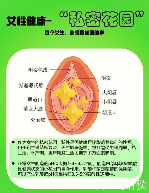 “深入解析微密圈是什么及其功能”